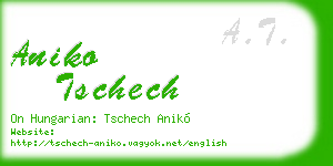 aniko tschech business card